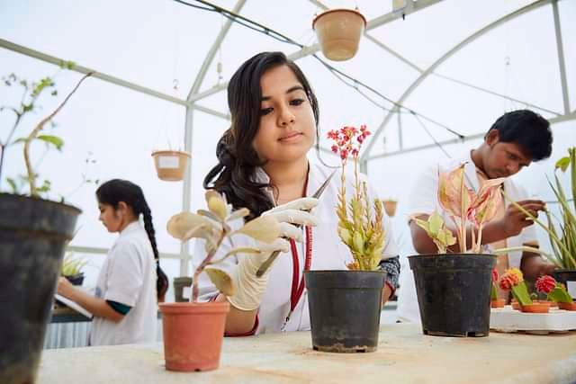 College Image